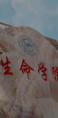 清吉清楓官網(wǎng)